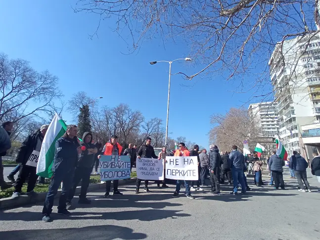 Рибари протестираха срещу перките в Черно море (СНИМКИ)