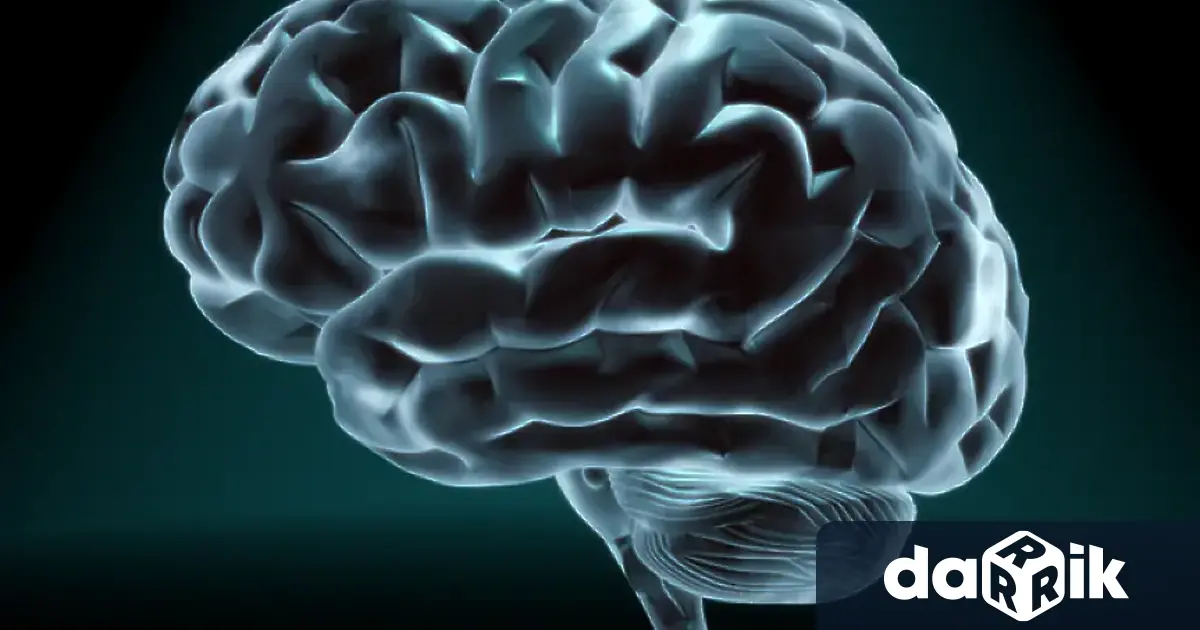 На 18 ти март се отбелязва Световният ден на мозъка Човешкият