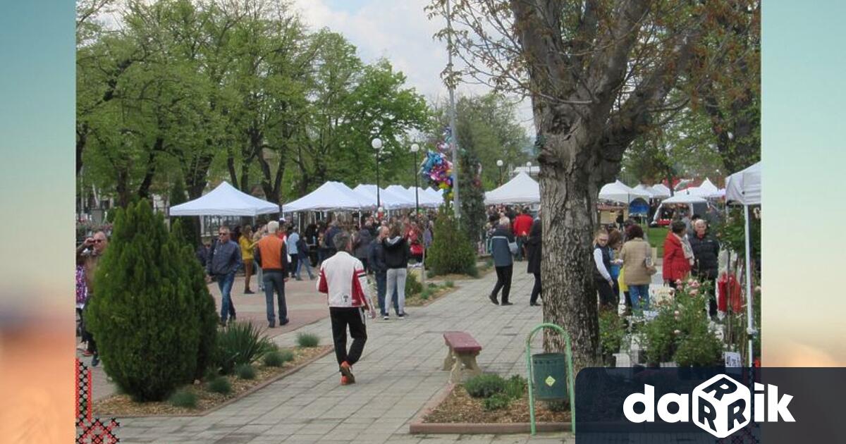 Десетото издание на фестивала Семе българско, което ще се проведе