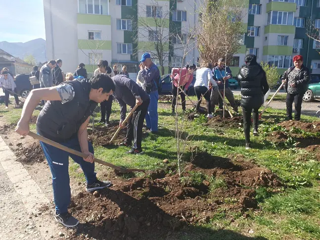 Засадиха  още 100 дървета във Враца