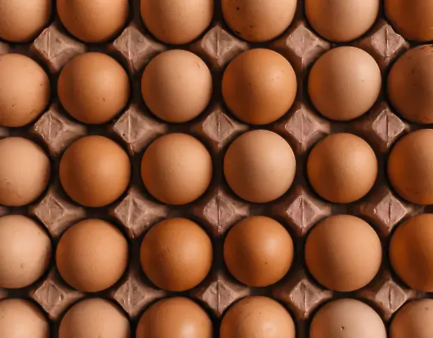 Ивайло Гълъбов пред Дарик: Цените на яйцата ще се запазят на атрактивни нива за Великден