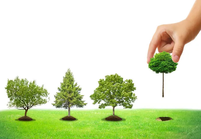 Инициатива „Да засадим дърво!“ в Добрич на 27 март
