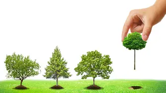Инициатива „Да засадим дърво!“ в Добрич на 27 март