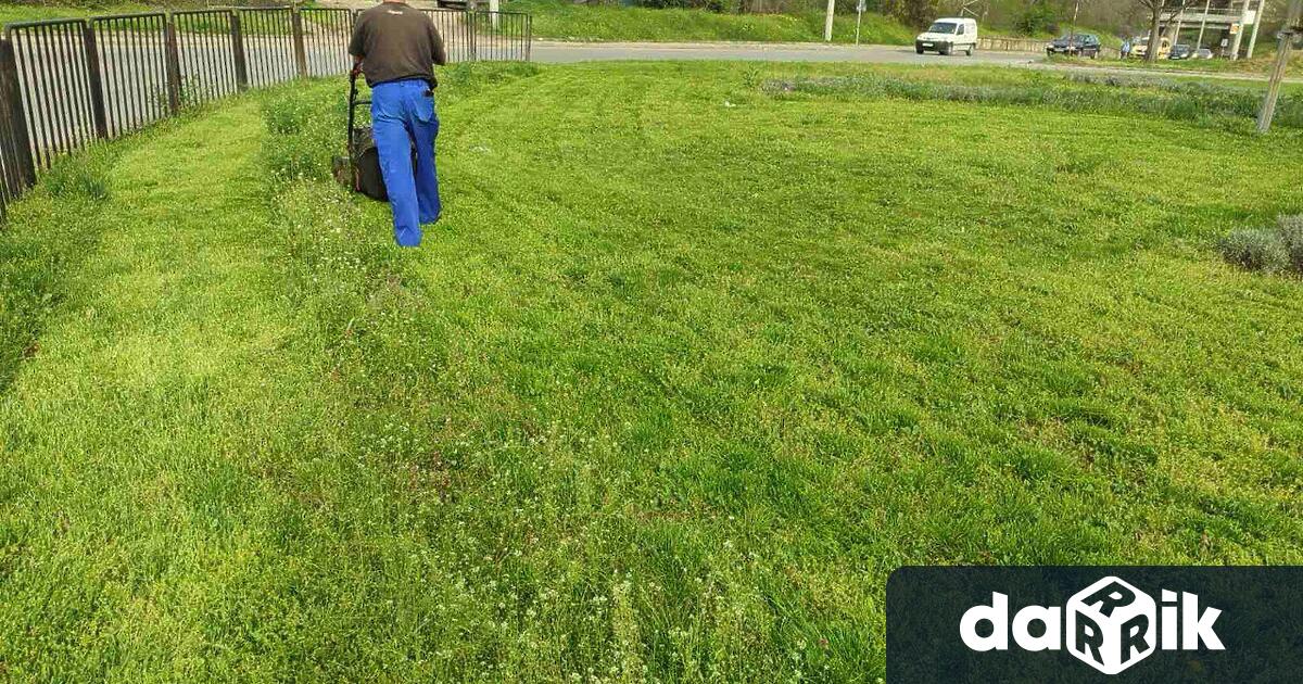 Община Русе стартира косенето на тревните площи в града Дейностите се
