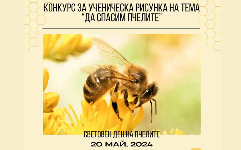 Конкурс за ученическа рисунка “Да спасим пчелите” обяви Регионална библиотека Враца