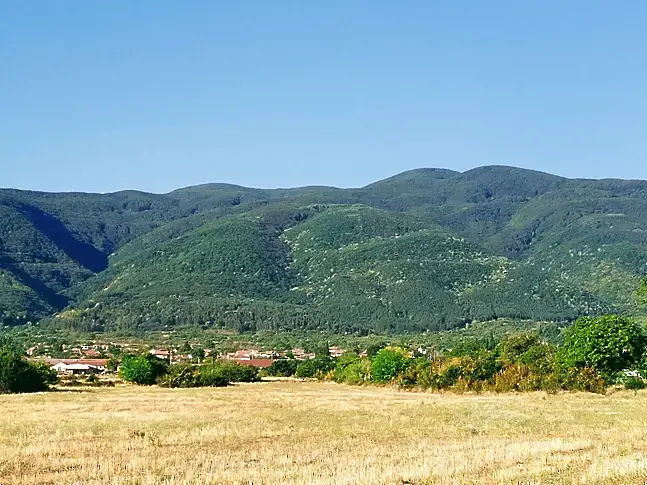 Искат нова защитена местност около светилище на Асклепий край село Паталеница