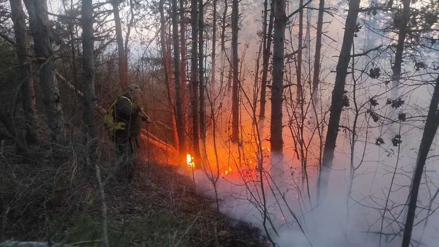 Пети ден пожар бушува край Девня (СНИМКИ)