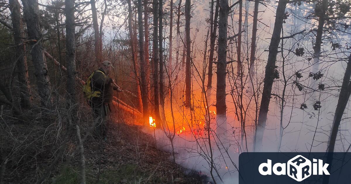 Пети ден продължава да гори гората над квартал Повеляново в