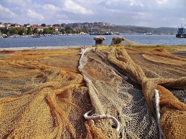От днес влиза в сила забрана за риболов в Черно море и река Дунав