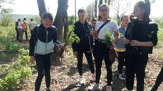Над 120 доброволци засадиха 2 000 дръвчета в землището на Долна Кремена