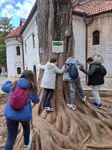 Обединяване в Природата