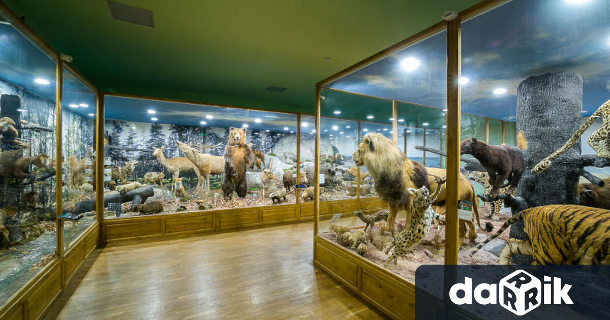 Тигър ще радва посетителите на Регионалния природонаучен музей в Пловдив