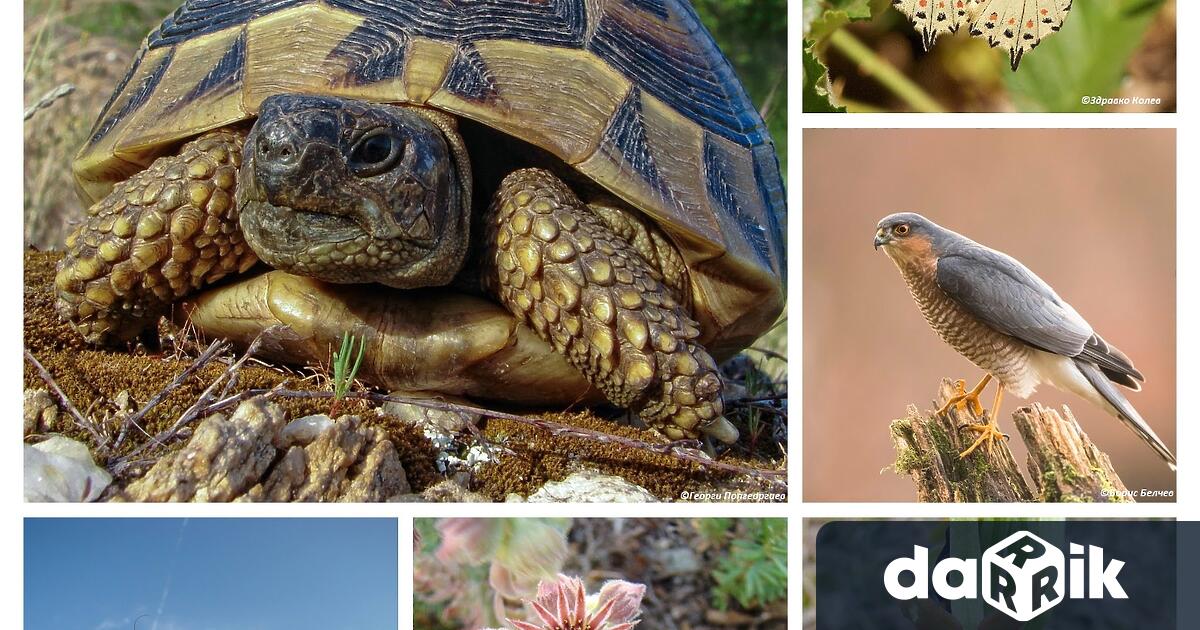 Фотоизложба посветена на биоразнообразието организира Сливенска община Тя ще бъде