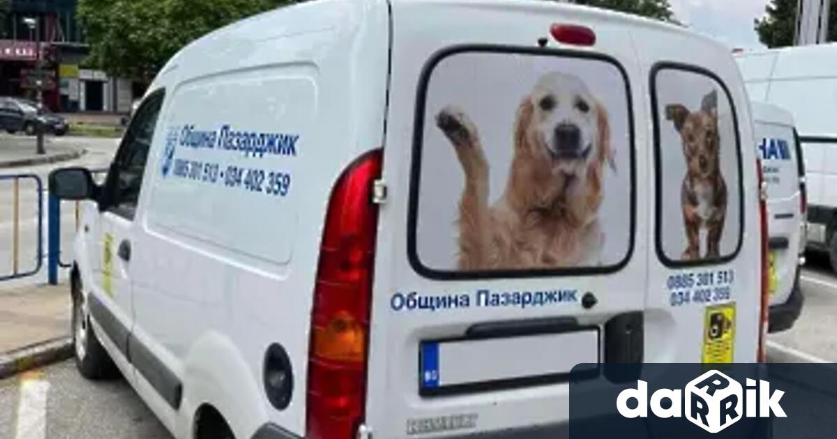 Община Пазарджик започна акция за улавяне на бездомните кучета. В