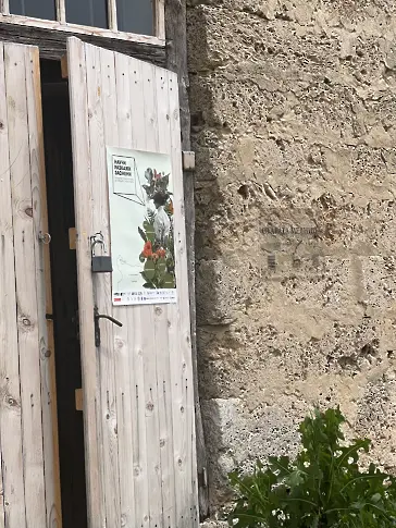 Ученици от град Левски участваха в инициативата „Научи, разкажи, заснеми!”