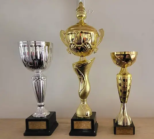 12 златни 5 сребърни и  2 бронзови медала завоюва Таекуондо клуб Нерон от международен турнир в Сърбия