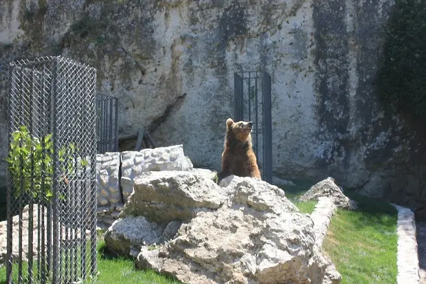 18-и май е Ден на българските зоопаркове