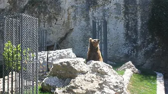 8-и май е Ден на българските зоопаркове