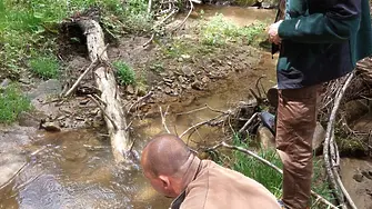 Зарибяват реките в Родопите с над 100 000 балкански пъстърви