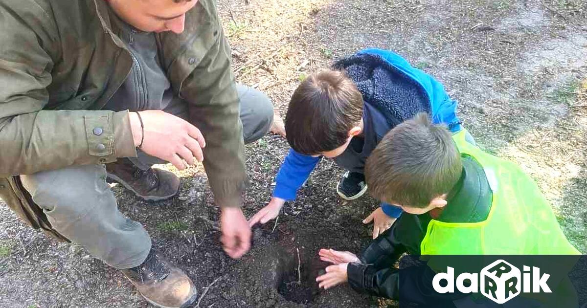 Изпълнителна агенция по горите стартира кампания Горска класна стая която