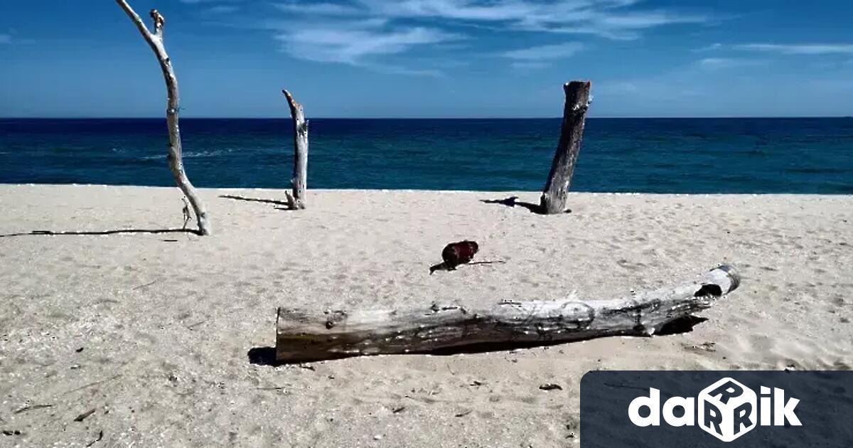 Труп на жена изплува на плажвъв Варна Тялото е изхвърлено