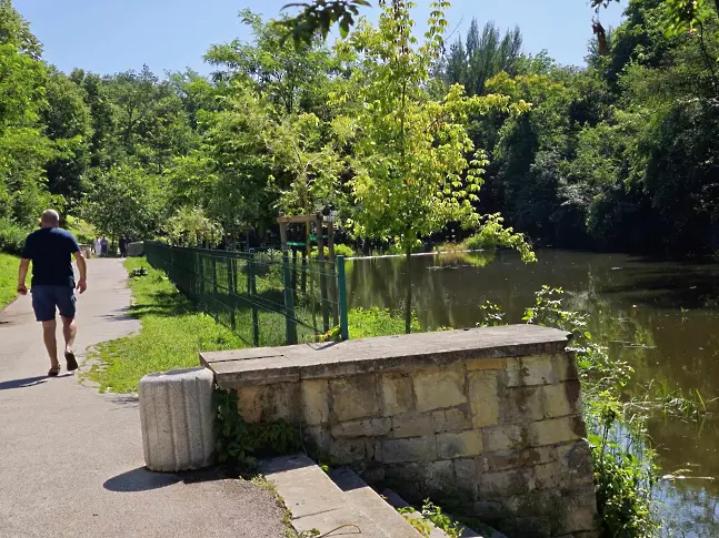 Започна засаждане на близо 200 ароматни водни лилии в парк „Кайлъка“