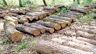 1 731 проверки в горите на СЦДП - Габрово през месец май