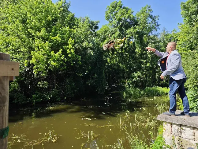 Започна засаждане на близо 200 ароматни водни лилии в парк „Кайлъка“