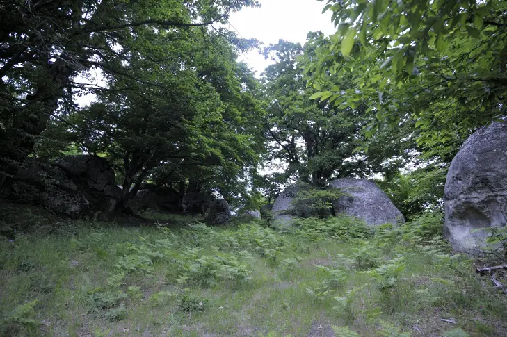 Предлагат фотолов в Котленския балкан