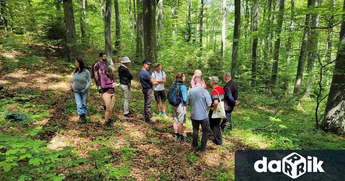 Група немски студенти учени и експерти в областта на горското