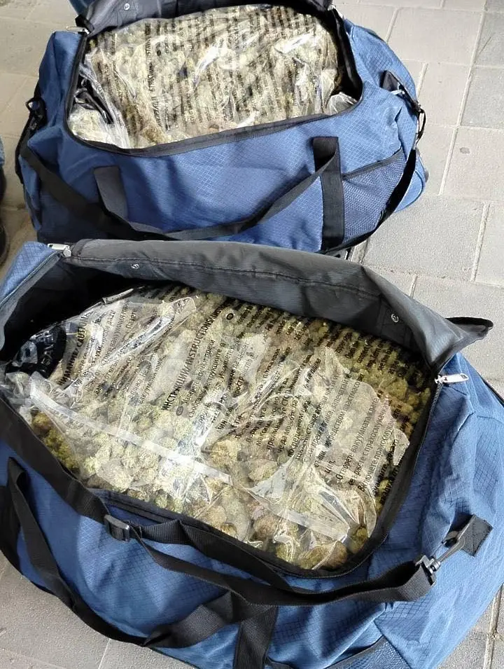 Антимафиоти разбиха наркогрупировка. Бебе използвано за параван на сделки с дрога