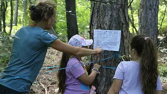 Деца влязоха в ролята на "лесовъди", за да спасяват гората от природни бедствия