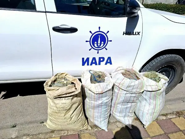 Извадиха 600 метра бракониерски мрежи от Черно море 