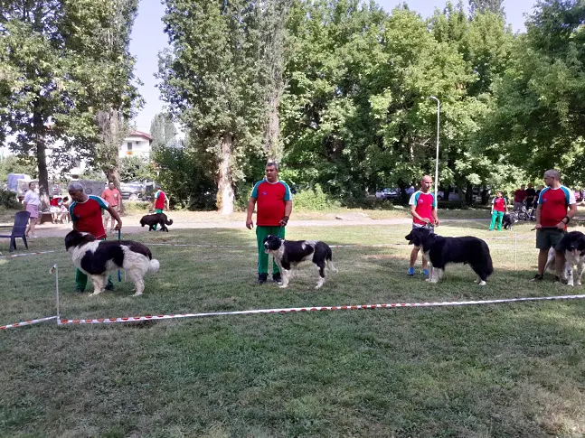 Видин бе домакин на Международна киноложка изложба