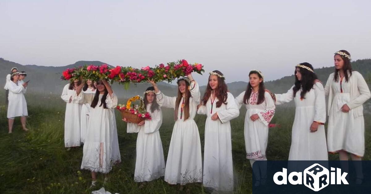 Единадесетото издание на Фестивала на дивите цветя в Родопите се