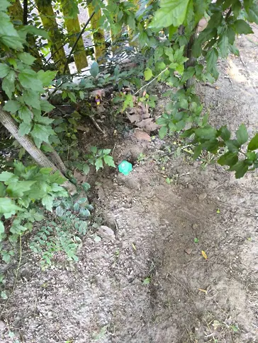  Община Кюстендил сложи 32 електронни уреди за битка със змии 