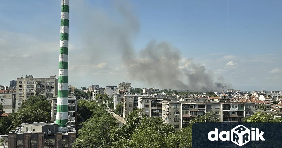 Сухи треви са пламнали на Рогошко шосе в Пловдив Три