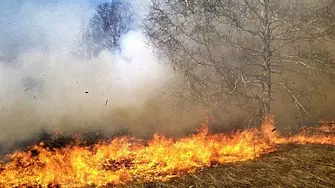 Пожар унищожи 340 дка от градина с бадеми в Кортен