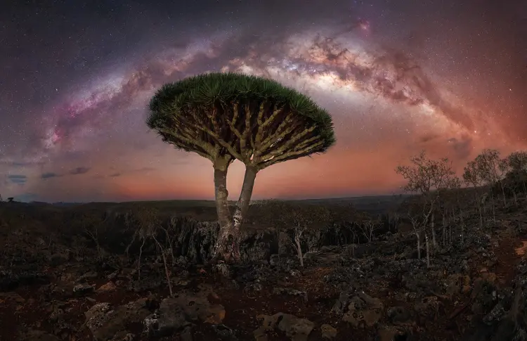  фотография: Росица Димитрова 