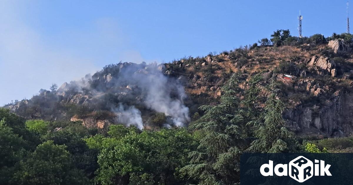 Пожарът на Младежки хълм в Пловдив който избухна днешния късен