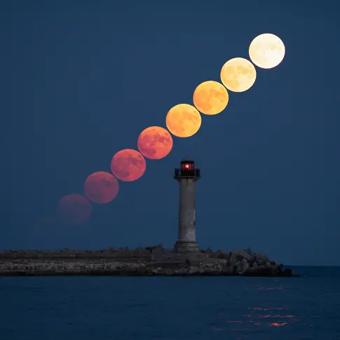  фотография: Росица Димитрова 