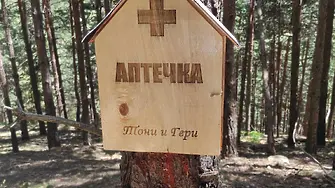 Аптечка в гората - или какво да правим при инцидент по време на поход?