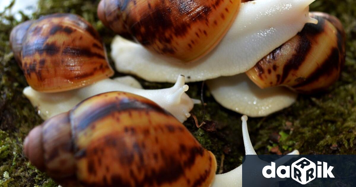 Експозиционен център Флора Бургас ще бъде домакин на изложба на