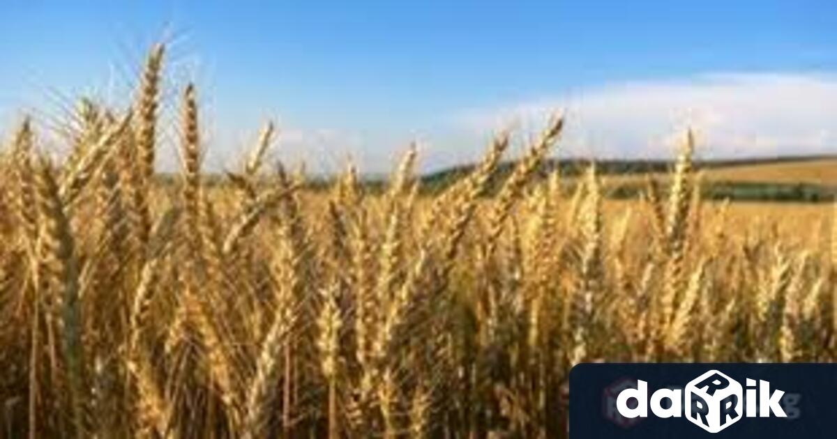 На 8 юли в 14 30 часа постъпил сигнал за запален