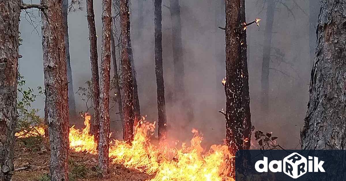 Пожарът в област Пловдив нараства но опасност за хората няма