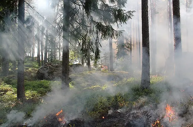 Четири пожара избухнаха в Средна гора