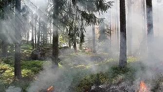 Четири пожара избухнаха в Средна гора
