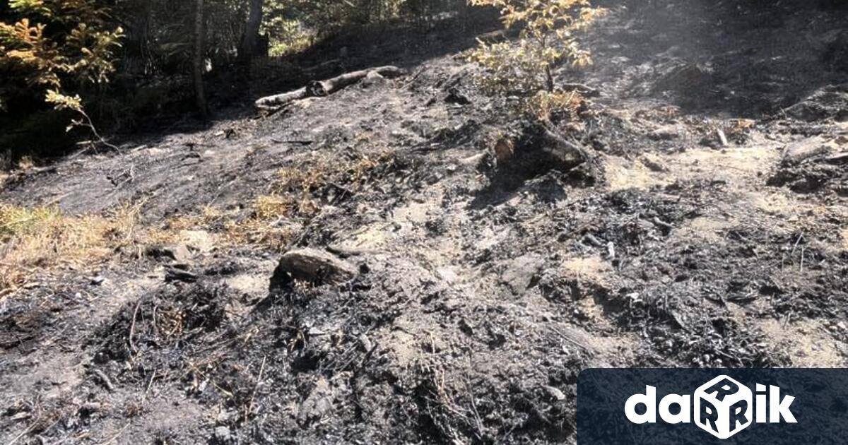 Огънят е тръгнал от треви между населените места Бабек и