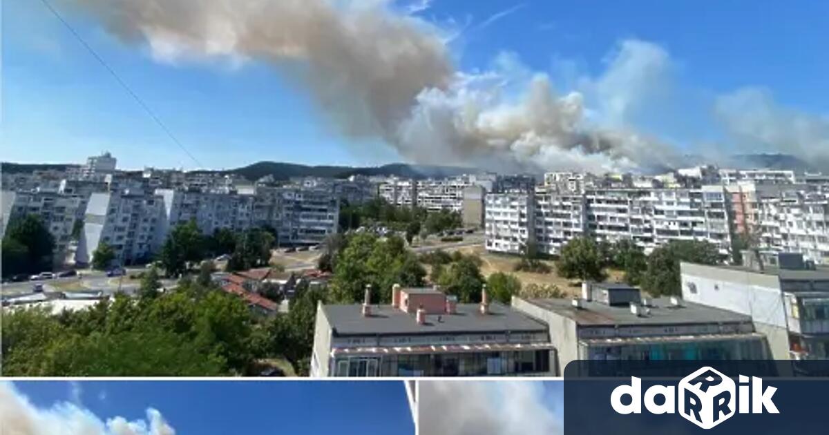 Двама души са задържани запожара който в неделя обхвана гората