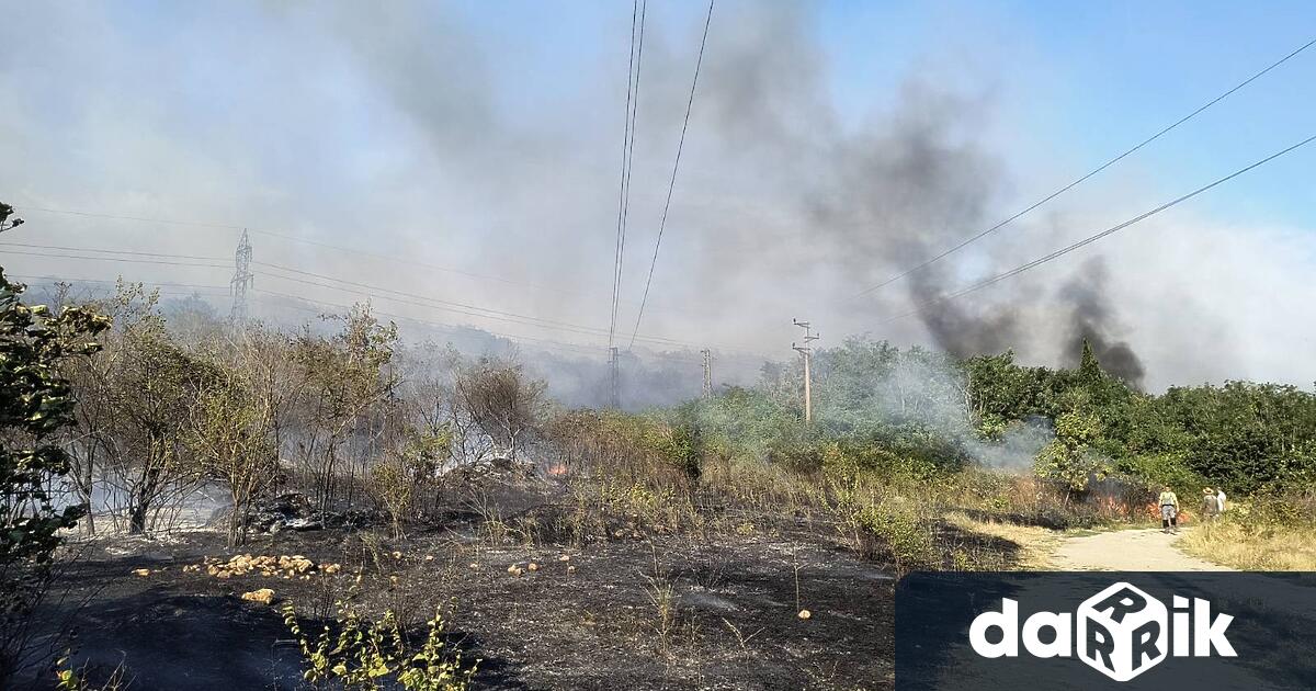 Пожарите до варненския квартал Владиславово и село Слънчево са локализирани